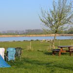 Natuur Biesbosch