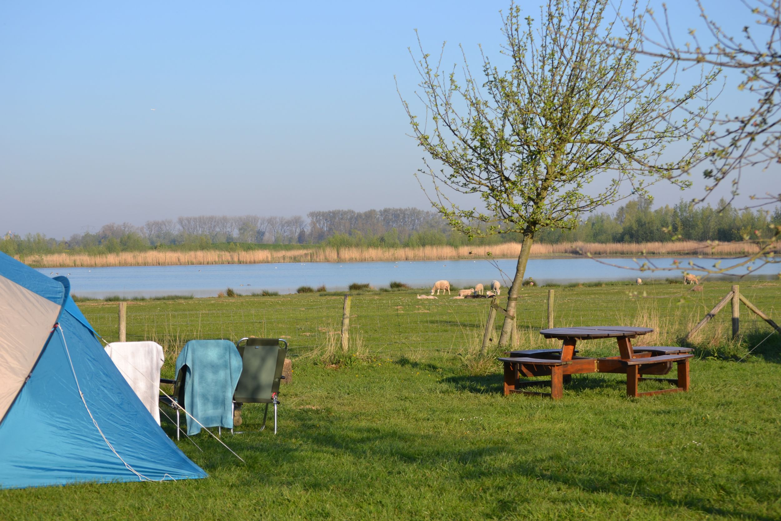 De Magie Van De Biesbosch Bij Zonsondergang