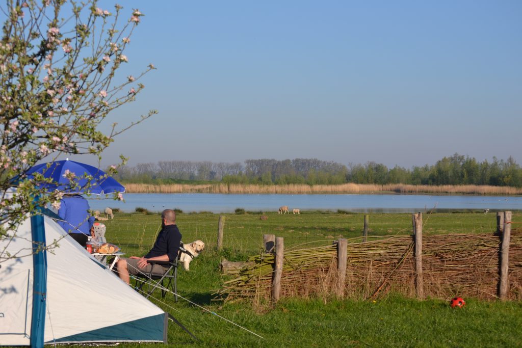 Uitzicht Biesbosch