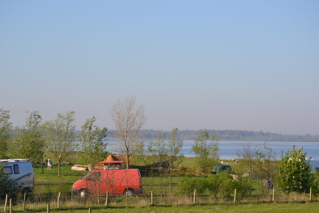 Uitzicht natuur Biesbosch