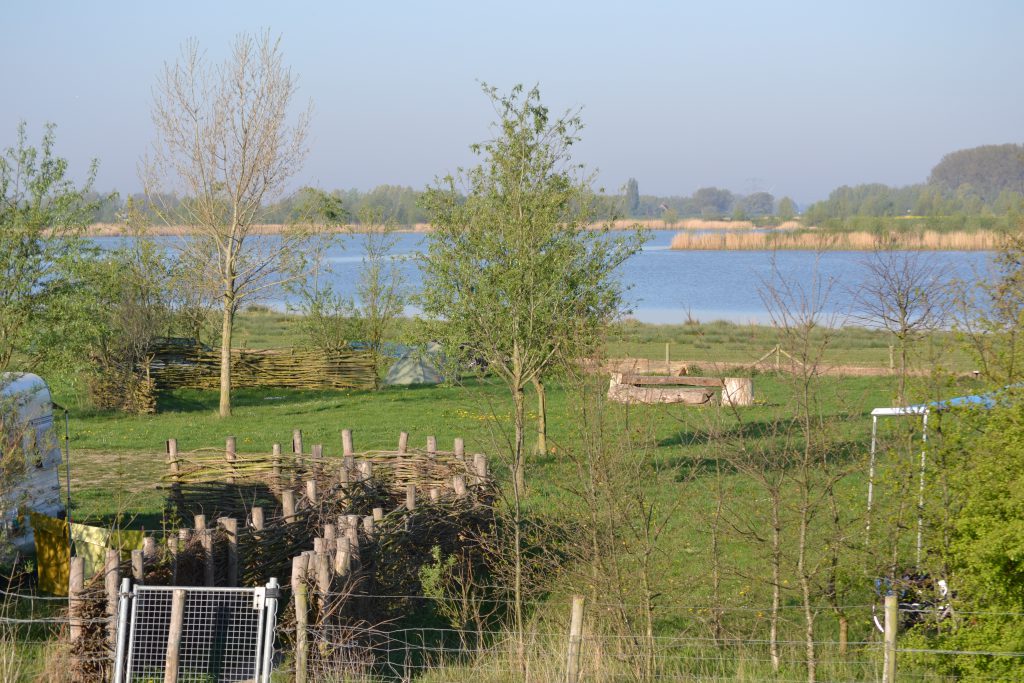 Natuur Biesbosch vakantie