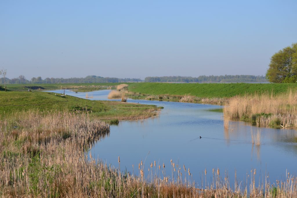 Kreek Biesbosch Vakantie