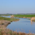 Kreek Biesbosch Vakantie