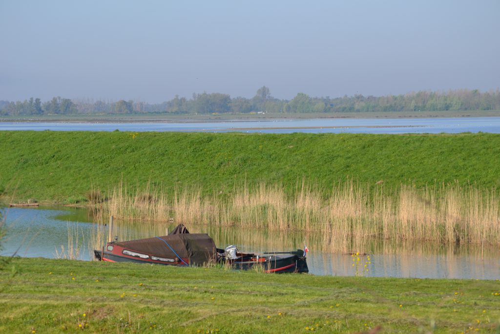 Kreek Biesbosch