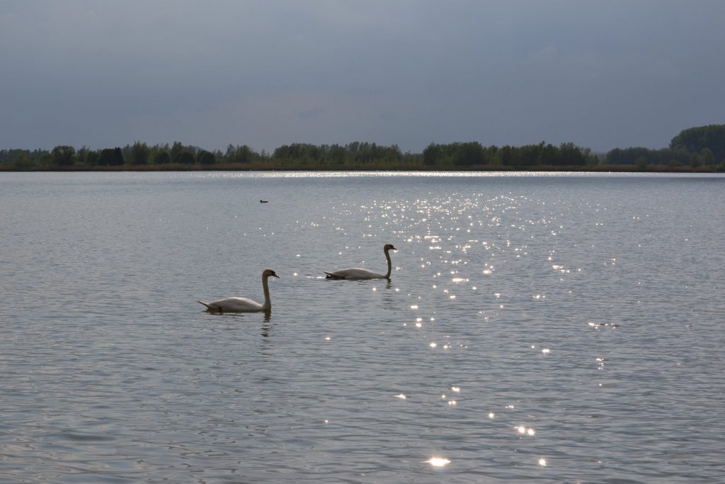 uitzicht Biesbosch Vakantie