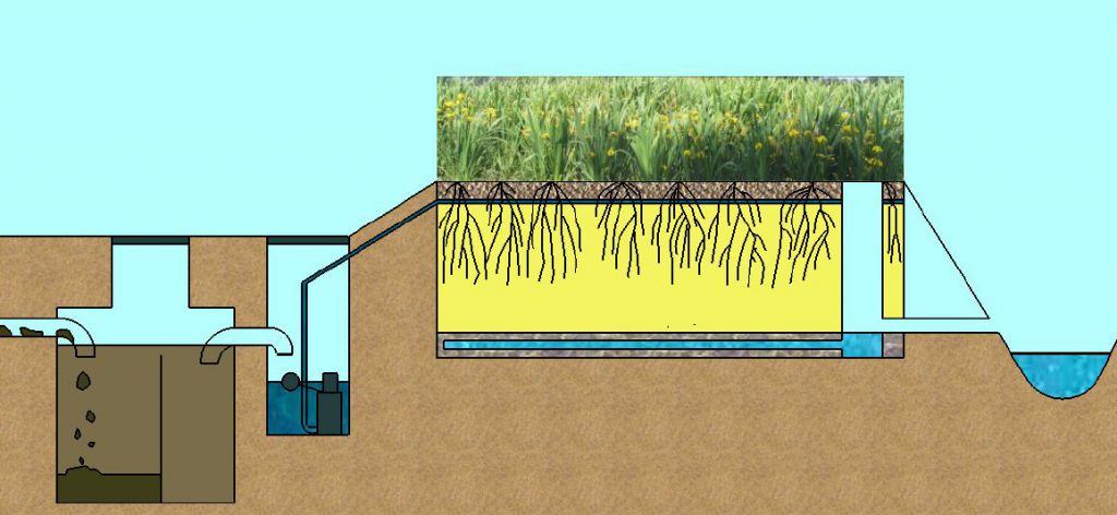 verticaal doorstroomd helofytenfilter