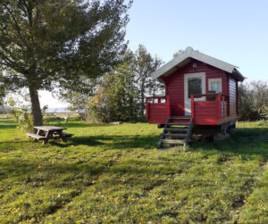 Biesboschvakantie